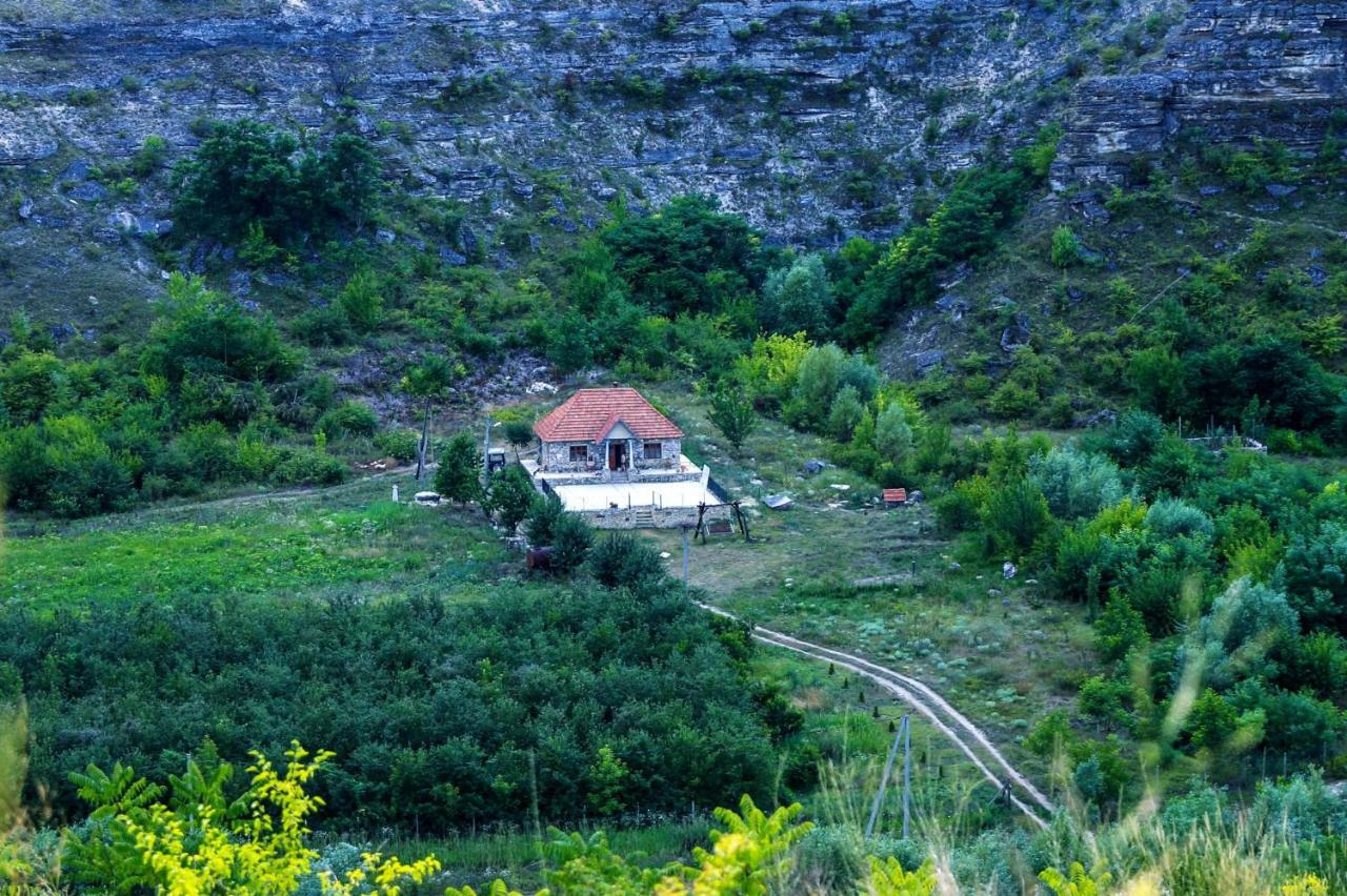 Casa Agricultorului Varzari Butuceny Экстерьер фото
